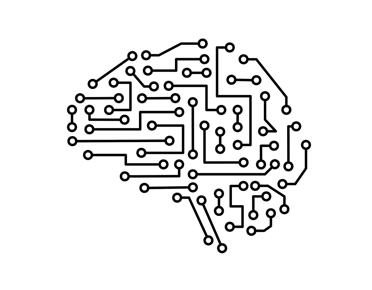 Circuit brain visualization